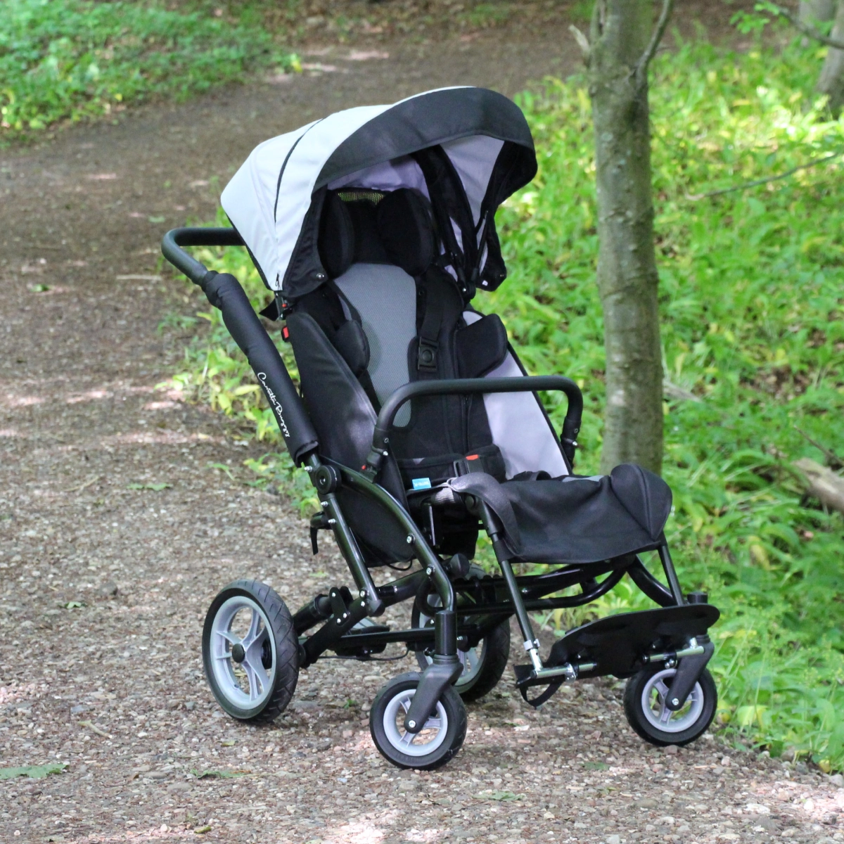 CARETTA Buggy - Special klapvogn/ jogger med ekstra kropsstøtte og stor kaleche. Mulighed for transportbeslag til brug i handicapbil.